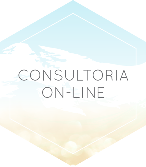 CONSULTORIA ONLINE